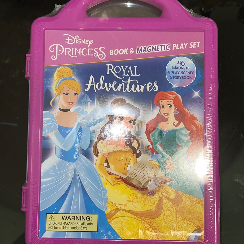 Disney Princess Book & Magnetic play set